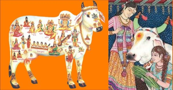 sacred animals in hinduism, coes