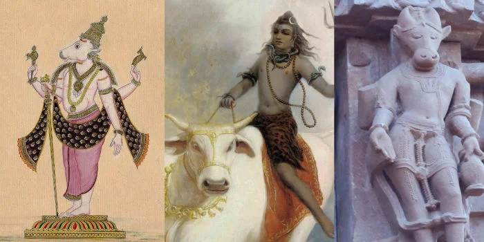 image 22 Exploring the Sacred Animals in Hinduism: Dismantling Misconceptions and Understanding Cultural Significance