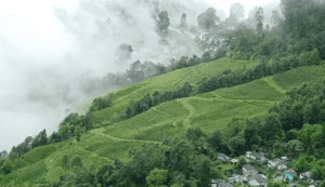 Darjeeling : Top 10 Must-Visit Places 