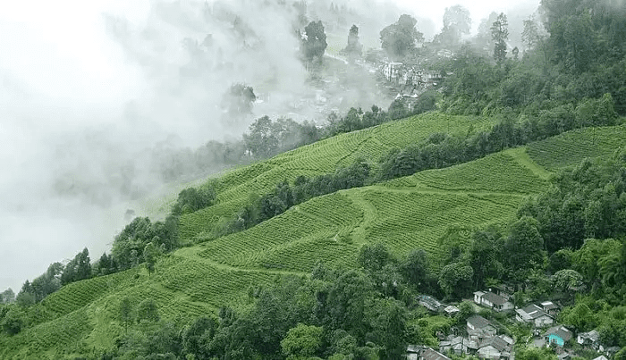 image 262 Darjeeling : Top 10 Must-Visit Places 