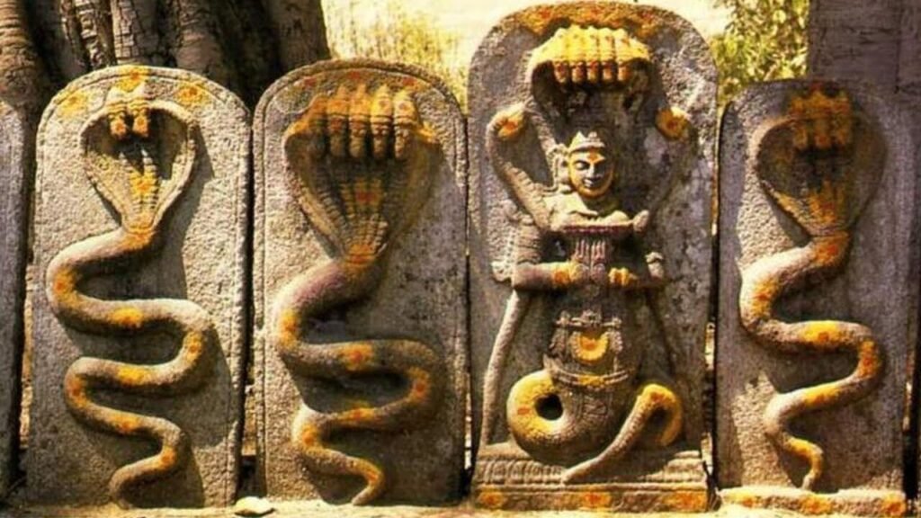 image 30 3 The Nagas: The Ancient Indian Culture of Serpent Worship