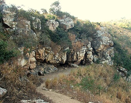 The Sattapanni cave in which the first Buddhist council held was sponsored by King Ajatashatru.